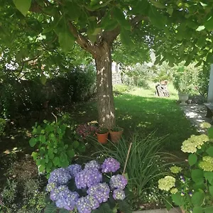 Appartement Vellico, Bale